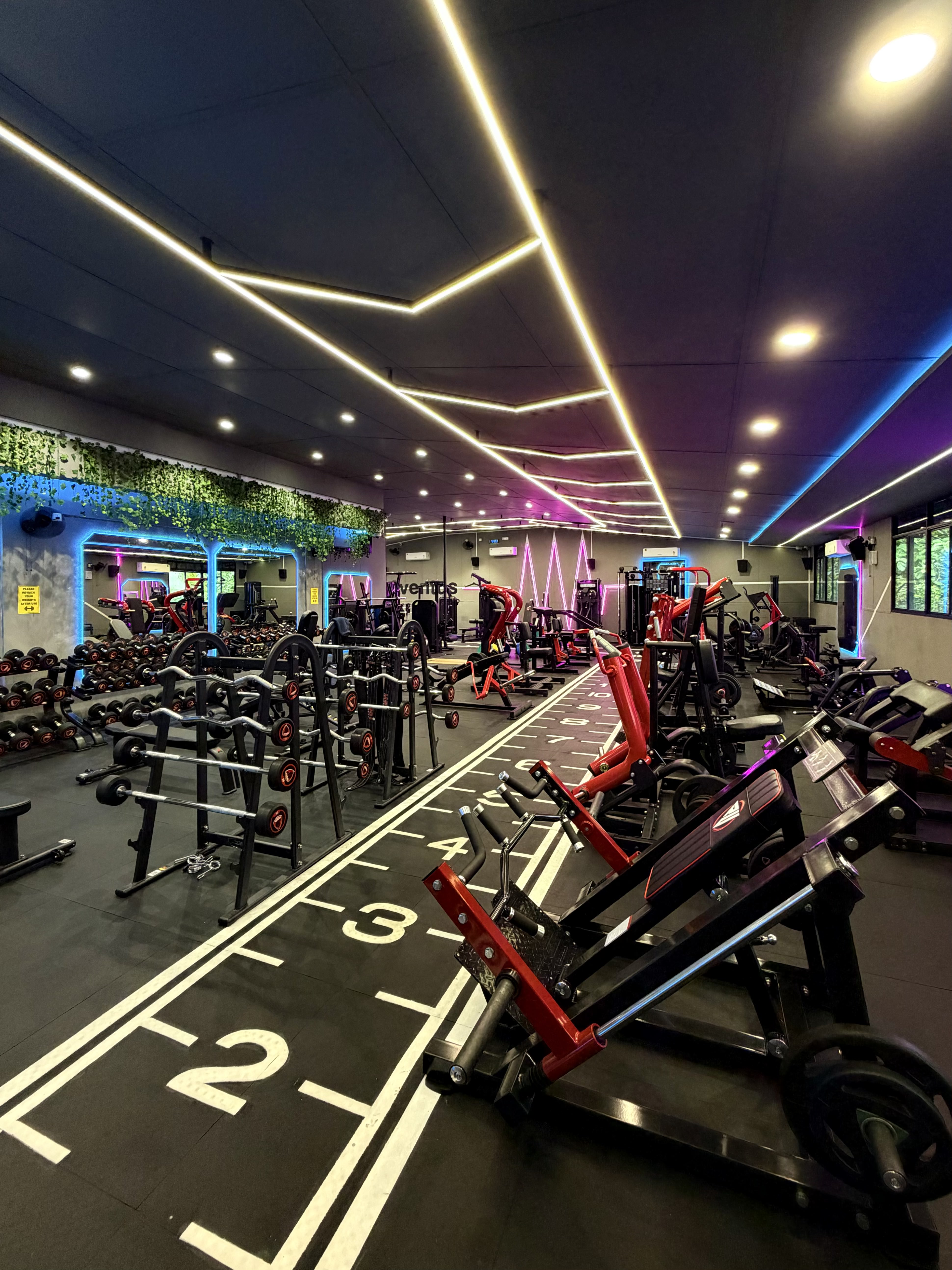 Gym Interior